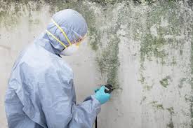 Best Biohazard Mold Removal  in Morada, CA